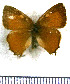  ( - JFDA4832)  @11 [ ] by-nc-sa (2025) Jean F. Le Crom Jean F. Le Crom
