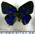  ( - JFDA4889)  @11 [ ] by-nc-sa (2025) Jean F. Le Crom Jean F. Le Crom