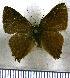  ( - JFDA4921)  @11 [ ] by-nc-sa (2025) Jean F. Le Crom Jean F. Le Crom