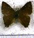  ( - JFDA4922)  @11 [ ] by-nc-sa (2025) Jean F. Le Crom Jean F. Le Crom
