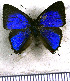  ( - JFDA4933)  @11 [ ] by-nc-sa (2025) Jean F. Le Crom Jean F. Le Crom