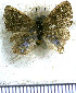  ( - JFDA4960)  @11 [ ] by-nc-sa (2025) Jean F. Le Crom Jean F. Le Crom