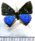  ( - JFDA5007)  @11 [ ] by-nc-sa (2025) Jean F. Le Crom Jean F. Le Crom
