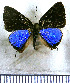 ( - JFDA5008)  @11 [ ] by-nc-sa (2025) Jean F. Le Crom Jean F. Le Crom