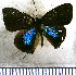  ( - JFDA5018)  @11 [ ] by-nc-sa (2025) Jean F. Le Crom Jean F. Le Crom