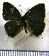  ( - JFDA5068)  @11 [ ] by-nc-sa (2025) Jean F. Le Crom Jean F. Le Crom