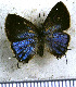  ( - JFDA5106)  @11 [ ] by-nc-sa (2025) Jean F. Le Crom Jean F. Le Crom