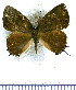  ( - JFDA5127)  @11 [ ] by-nc-sa (2025) Jean F. Le Crom Jean F. Le Crom