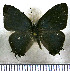  ( - JFDA5130)  @11 [ ] by-nc-sa (2025) Jean F. Le Crom Jean F. Le Crom