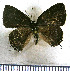  ( - JFDA5131)  @11 [ ] by-nc-sa (2025) Jean F. Le Crom Jean F. Le Crom
