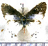  ( - JFDA5145)  @11 [ ] by-nc-sa (2025) Jean F. Le Crom Jean F. Le Crom