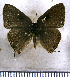  ( - JFDA5152)  @11 [ ] by-nc-sa (2025) Jean F. Le Crom Jean F. Le Crom
