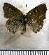  ( - JFDA5169)  @11 [ ] by-nc-sa (2025) Jean F. Le Crom Jean F. Le Crom