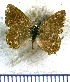  ( - JFDA5170)  @11 [ ] by-nc-sa (2025) Jean F. Le Crom Jean F. Le Crom