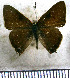  ( - JFDA5178)  @11 [ ] copyright (2025) Center For Collection-Based Research Center For Collection-Based Research