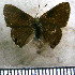  ( - JFDA5179)  @11 [ ] copyright (2025) Center For Collection-Based Research Center For Collection-Based Research