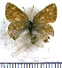  ( - JFDA5180)  @11 [ ] copyright (2025) Center For Collection-Based Research Center For Collection-Based Research