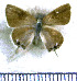  ( - JFDA5181)  @11 [ ] copyright (2025) Center For Collection-Based Research Center For Collection-Based Research