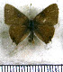  ( - JFDA5182)  @11 [ ] copyright (2025) Center For Collection-Based Research Center For Collection-Based Research