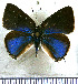 ( - JFDA5228)  @11 [ ] copyright (2025) Center For Collection-Based Research Center For Collection-Based Research