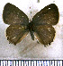  ( - JFDA5229)  @11 [ ] copyright (2025) Center For Collection-Based Research Center For Collection-Based Research