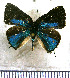  ( - JFDA5232)  @11 [ ] copyright (2025) Center For Collection-Based Research Center For Collection-Based Research