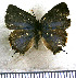  ( - JFDA5233)  @11 [ ] copyright (2025) Center For Collection-Based Research Center For Collection-Based Research