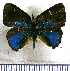  ( - JFDA5234)  @11 [ ] copyright (2025) Center For Collection-Based Research Center For Collection-Based Research