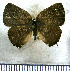  ( - JFDA5235)  @11 [ ] copyright (2025) Center For Collection-Based Research Center For Collection-Based Research