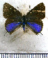  ( - JFDA5251)  @11 [ ] copyright (2025) Center For Collection-Based Research Center For Collection-Based Research