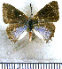  ( - JFDA5264)  @11 [ ] copyright (2025) Center For Collection-Based Research Center For Collection-Based Research