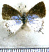  ( - JFDA5265)  @11 [ ] copyright (2025) Center For Collection-Based Research Center For Collection-Based Research