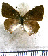  ( - JFDA5266)  @11 [ ] copyright (2025) Center For Collection-Based Research Center For Collection-Based Research