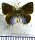  ( - JFDA5269)  @11 [ ] copyright (2025) Center For Collection-Based Research Center For Collection-Based Research