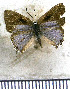  ( - JFDA5273)  @11 [ ] copyright (2025) Center For Collection-Based Research Center For Collection-Based Research