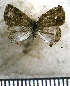  ( - JFDA5274)  @11 [ ] copyright (2025) Center For Collection-Based Research Center For Collection-Based Research