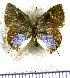 ( - JFDA5276)  @11 [ ] copyright (2025) Center For Collection-Based Research Center For Collection-Based Research