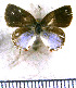  ( - JFDA5277)  @11 [ ] copyright (2025) Center For Collection-Based Research Center For Collection-Based Research