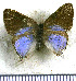  ( - JFDA5278)  @11 [ ] copyright (2025) Center For Collection-Based Research Center For Collection-Based Research