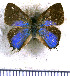  ( - JFDA5281)  @11 [ ] copyright (2025) Center For Collection-Based Research Center For Collection-Based Research