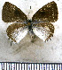  ( - JFDA5285)  @11 [ ] copyright (2025) Center For Collection-Based Research Center For Collection-Based Research