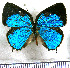  ( - JFDA5286)  @11 [ ] copyright (2025) Center For Collection-Based Research Center For Collection-Based Research