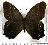  ( - JFDA5309)  @11 [ ] copyright (2025) Center For Collection-Based Research Center For Collection-Based Research
