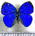  ( - JFDA5345)  @11 [ ] copyright (2025) Center For Collection-Based Research Center For Collection-Based Research