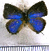  ( - JFDA5348)  @11 [ ] copyright (2025) Center For Collection-Based Research Center For Collection-Based Research
