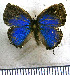  ( - JFDA5349)  @11 [ ] copyright (2025) Center For Collection-Based Research Center For Collection-Based Research