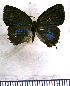  ( - JFDA5350)  @11 [ ] copyright (2025) Center For Collection-Based Research Center For Collection-Based Research