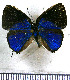  ( - JFDA5370)  @11 [ ] copyright (2025) Center For Collection-Based Research Center For Collection-Based Research