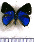  ( - JFDA5372)  @11 [ ] copyright (2025) Center For Collection-Based Research Center For Collection-Based Research