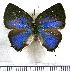  ( - JFDA5373)  @11 [ ] copyright (2025) Center For Collection-Based Research Center For Collection-Based Research